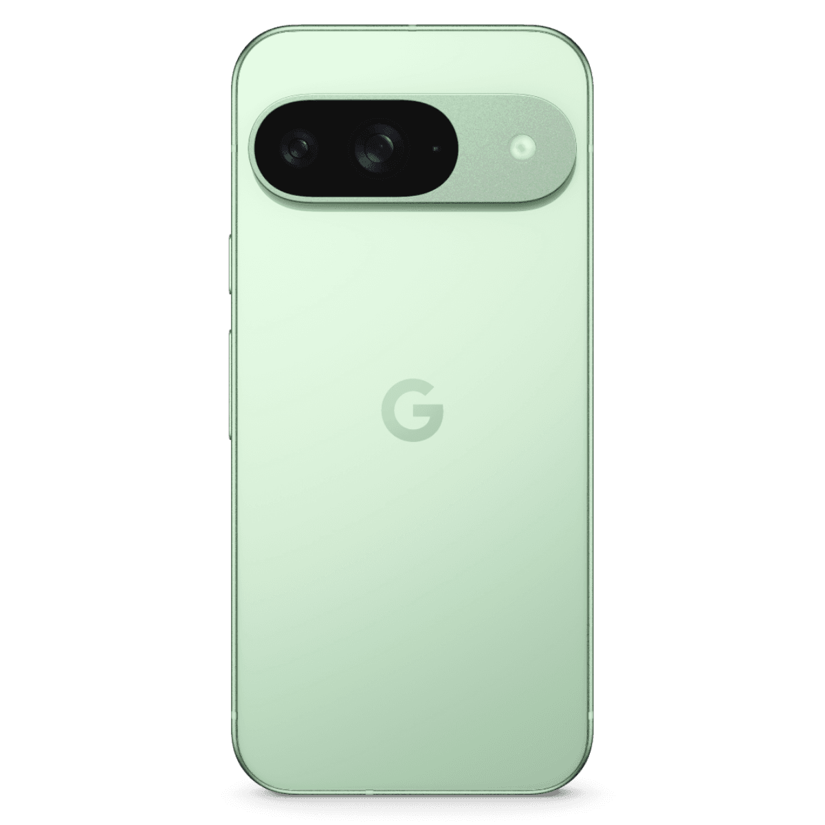 Google Pixel 9 - Unlocked - Excellent-Wintergreen (#c7d9c5)-128GB 2