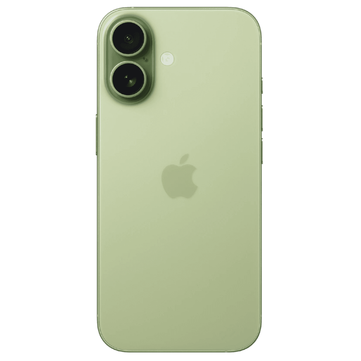 Apple iPhone 17 - Unlocked - Excellent-Sage (#96a89d)-256GB 2